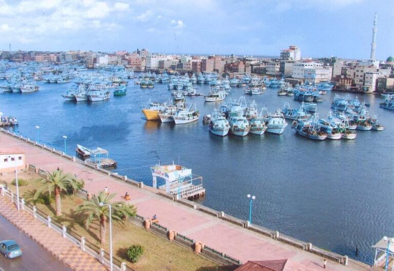 شقتك مفروشة